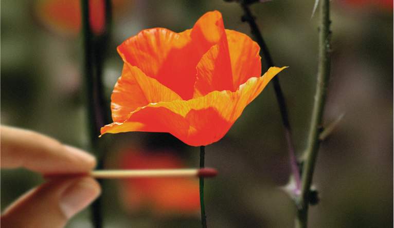 Diputaci_ de Barcel_na