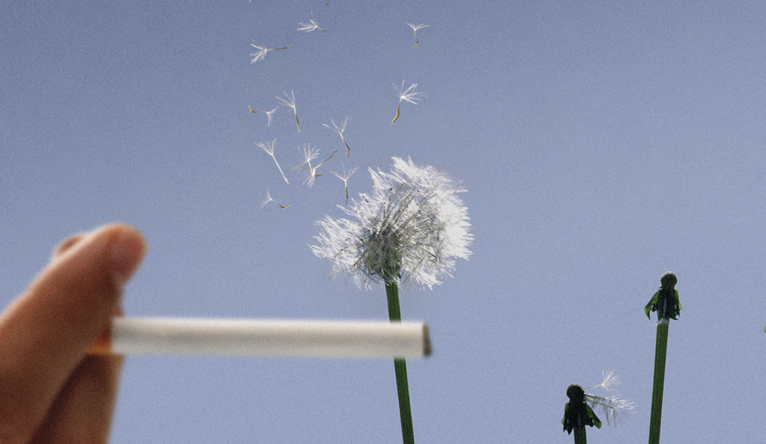 Diputaci_ de Barcel_na